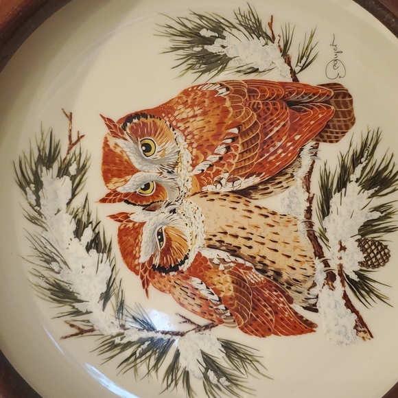 Vintage 1978 Gunther Granget Owls Framed Collector Plate Warmth #1330 - Picture 2 of 5